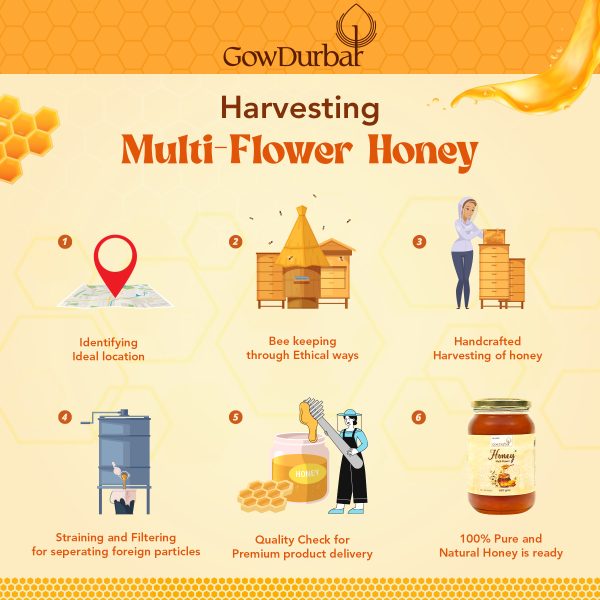 Multi Flower Honey - Image 5