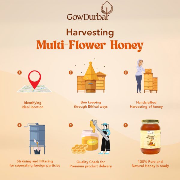 Multi Flower Honey - Image 5