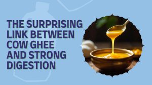 Does cow ghee help with digestion and gut health due to butyrate