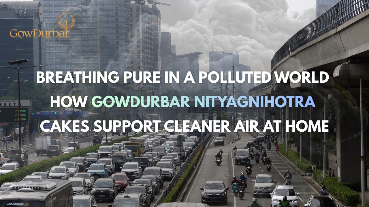 Breathing Pure in a Polluted World