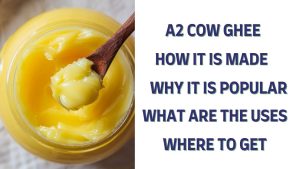 What Is A2 Cow Ghee And Why GowDurbar’s A2 Ghee Deserves a Place in Your Kitchen